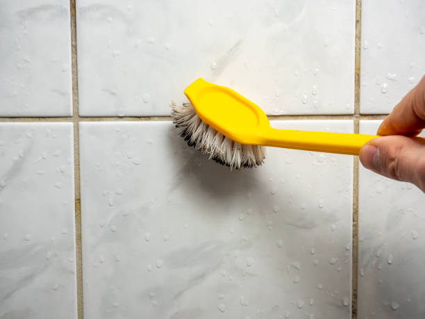 Best Residential Mold Removal  in Irrigon, OR