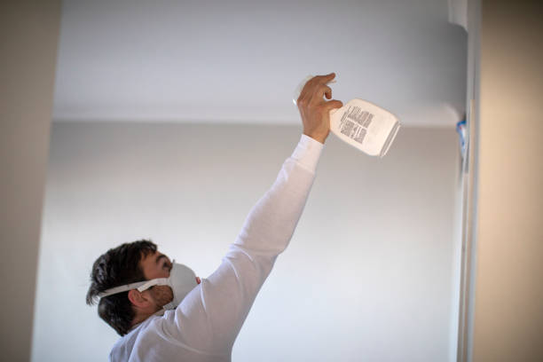 Best Toxic Mold Removal  in Irrigon, OR