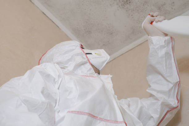 Best Best Mold Removal Companies  in Irrigon, OR